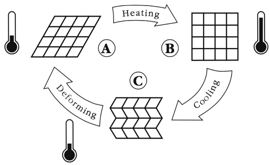 Shape Memory Alloys